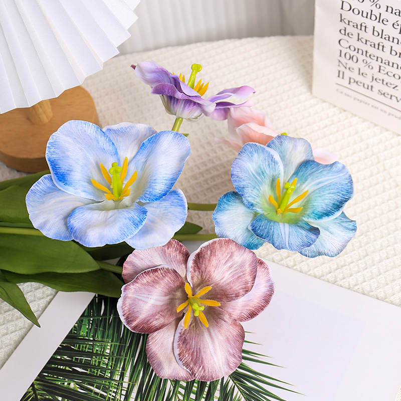 5pc 54 センチメートルフリップチューリップグラデーショ - Photography Wedding のレビューと価格